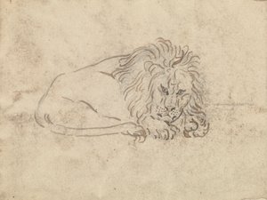 Un León de James Sowerby