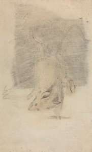 Un ratón de James Sowerby
