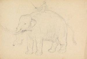 Elefante con jinete de James Sowerby