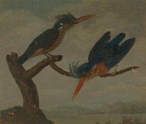 Dos martines pescadores junto a un lago de James Sowerby