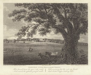 Robert Bloomfield, poeta: Wakefield Lodge, Bosque de Whittlebury (grabado)