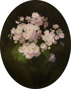 Prímulas, siglo XX de James Stuart Park