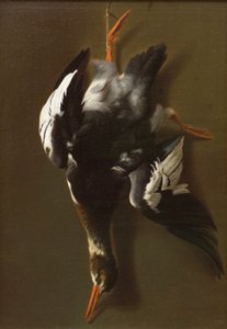 Aves muertas, c.1815 (óleo sobre lienzo) de James Thom