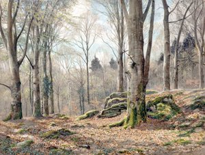 Un bosque galés (acuarela) de James Thomas Watts