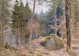 En un bosque galés, invierno de James Thomas Watts