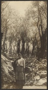 Misa - Olivar de James W. Holcombe