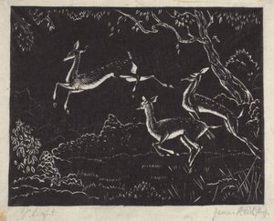 Vuelo (xilografía) de James W. Reid