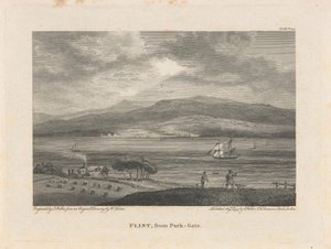 Flint, de Park-Gate de James Walker