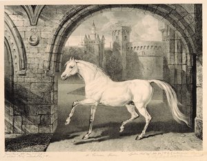 Un Caballo Persa, de 