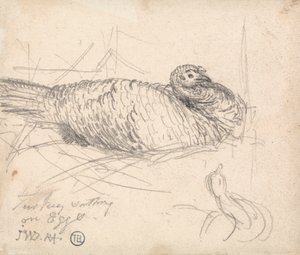 Un pavo sentado sobre huevos de James Ward