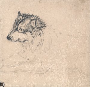 Perro del Ártico, mirando a la izquierda de James Ward