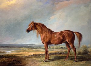 Copenhague, el caballo favorito de Wellington, en un paisaje de James Ward