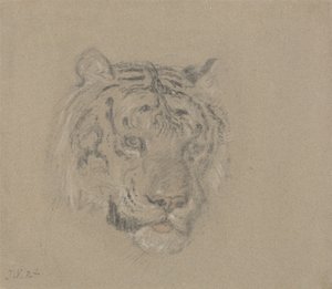 Cabeza de tigre de James Ward