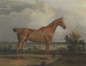 Cazador en un paisaje de James Ward
