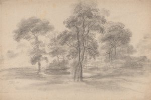 Paisaje con árboles