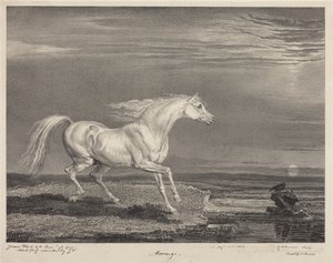 Marengo de James Ward