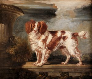 Retrato de Dash, un spaniel favorito, propiedad de Lady Frances Vane-Tempest de James Ward