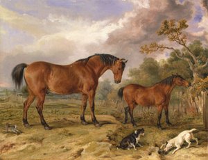 Portrait of Reformer, Blucher, Tory and Crib, the Property of Rowland Alston, Esq., M.P. [1836, Royal Academy of Arts, Londres, catálogo de exposición]. de James Ward