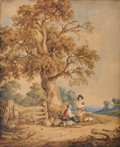 Escenario rural de James Ward