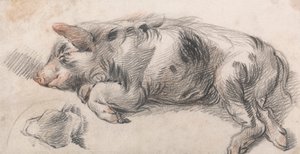 Cerdo dormilón de James Ward
