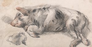 Cerdo dormilón de James Ward