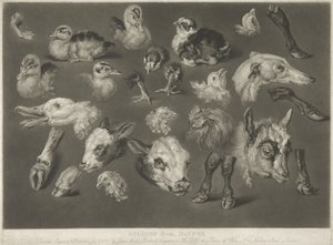 Estudios de la naturaleza, 1807 de James Ward