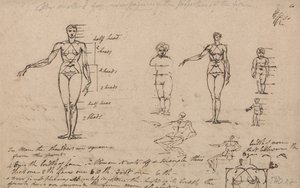 Estudios de anatomía, medidas y escritura de James Ward