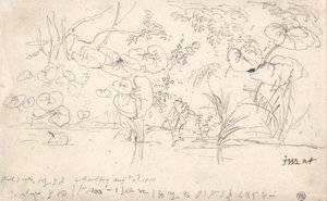 Estudios sobre las plantas, 2 de agosto de 1815 de James Ward