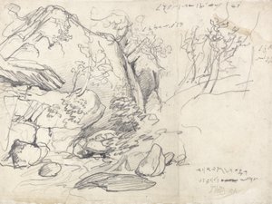 Estudio de una Montaña con Árboles