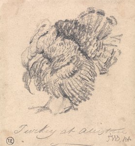 Estudio de un pavo de James Ward