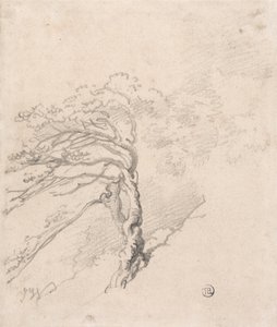 Árbol en una ladera de James Ward