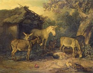 Imagen desconocida de James Ward