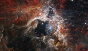 Una tarántula cósmica de James Webb Space Telescope (NASA)