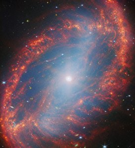 Una mirada cercana a una galaxia local (NGC 2566)