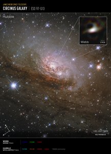 Galaxia Circinus (imagen del Hubble y el Webb)   de James Webb Space Telescope (NASA)