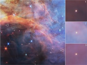 Objetos de baja masa en la Nebulosa de la Llama (imagen de la NIRCam)