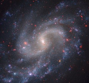 NGC 5584 (Webb NIRCam + Hubble WFC3) de James Webb Space Telescope (NASA)
