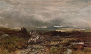 Camino de Montaña, Capel Curig, Norte de Gales de James William Whitaker