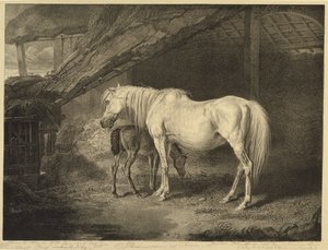 Primrose y potro, de Caballos célebres, un conjunto de catorce grabados de carreras publicados por el artista, 1823-24 de James after Ward