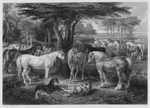 El Consejo de los Caballos, del cuadro en la Galería Vernon