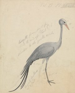Una grúa