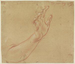 Estudio de un brazo derecho de Jan Anton Garemyn