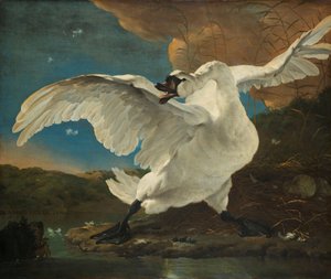 El cisne amenazado
El cisne amenazado; interpretado posteriormente como una alegoría sobre Johan de Witt de Jan Asselijn