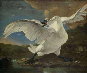 El cisne amenazado, c.1650 de Jan Asselyn