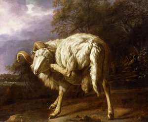 Un carnero en un paisaje boscoso de Jan Baptist Weenix