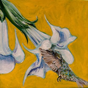 Colibrí, 2023 (acrílico sobre lienzo) de Jan Barzottini