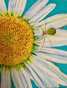 Araña sandía, 2023 (acrílico sobre lienzo) de Jan Barzottini