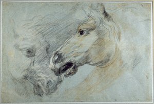 Dos estudios de la cabeza de un caballo