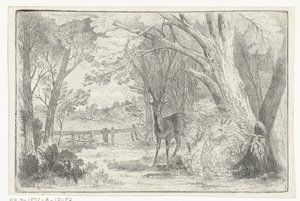 Parque paisaje con ciervos de Jan Bos Wz.