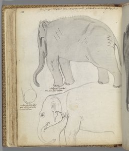 Perspectiva de tres figuras de Jan Brandes